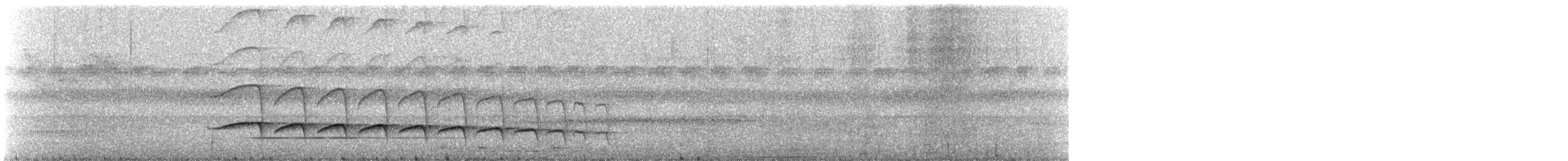 Xingu Scythebill - ML624261425
