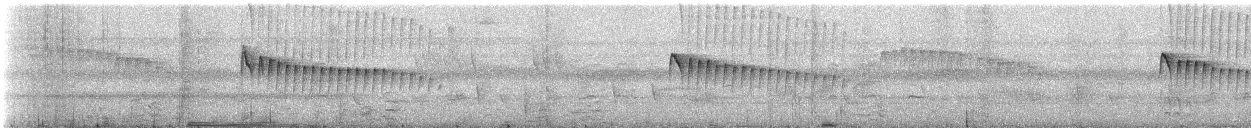 Ornate Stipplethroat (Eastern) - ML624261449