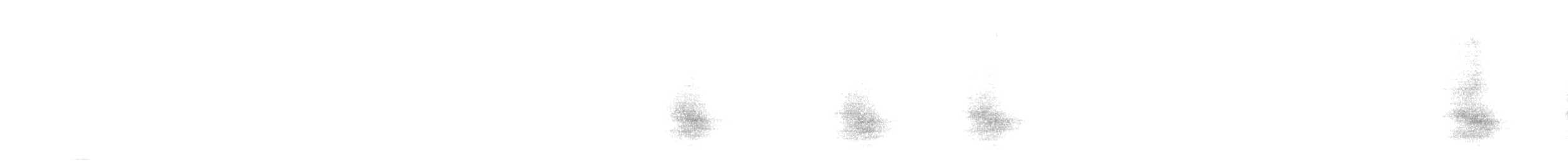 Steller's Jay (Middle American) - ML624265572