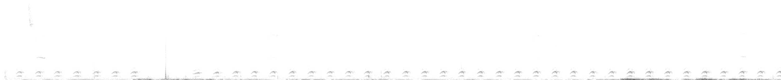 Utcubamba Tapaculo - ML624274447