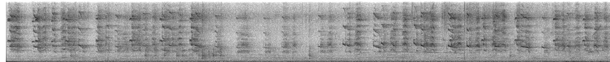 Râle à collier - ML624274960