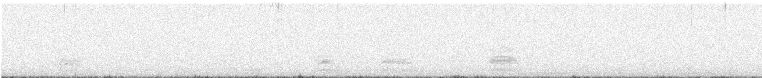 Black-billed Gull - ML624288995