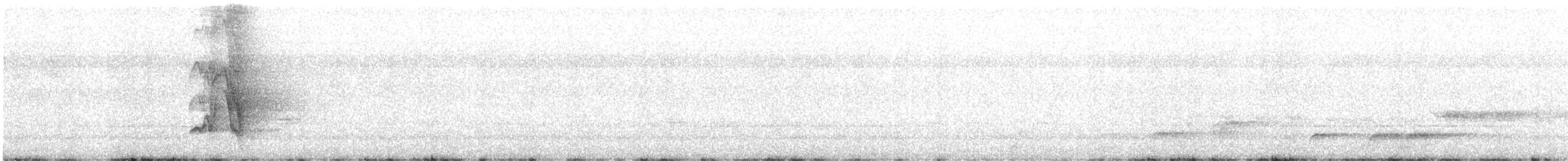 White-bellied Cuckooshrike - ML624293518