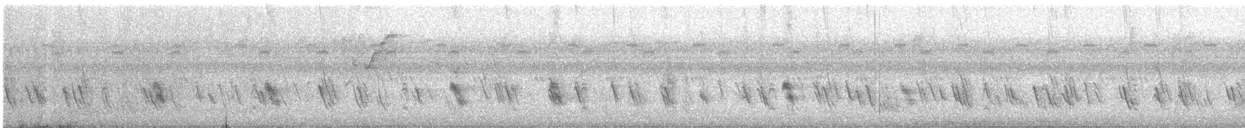 Purpurschwalbe - ML624294199