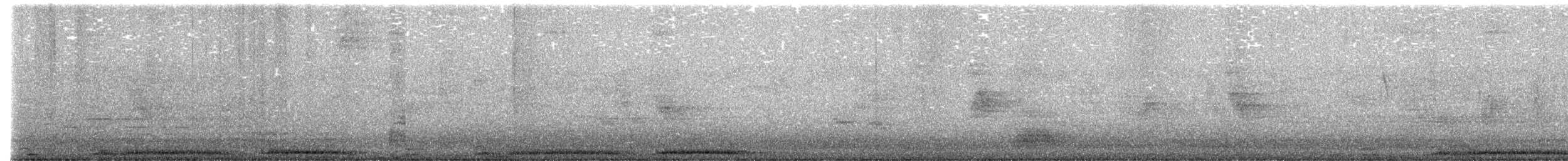 Spotted Dove - ML624295600