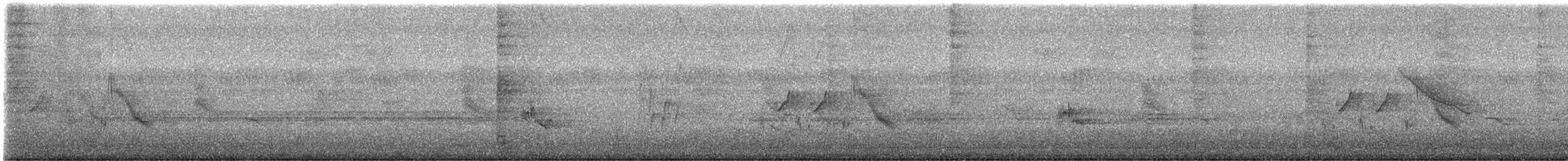 White-browed Wagtail - ML624296016