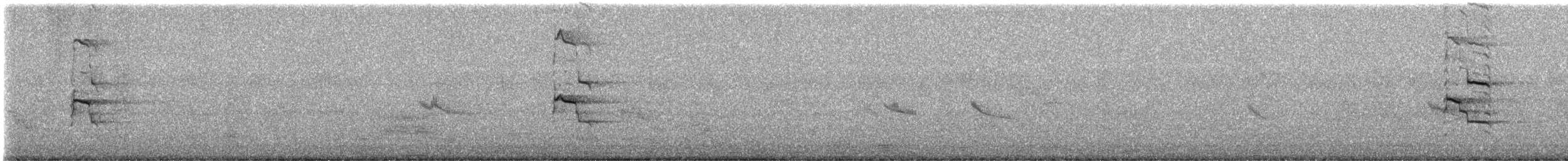 Indian Gray Hornbill - ML624296241