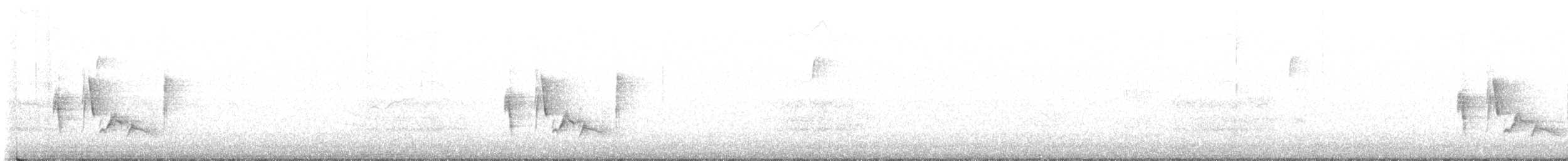 White-eyed Vireo - ML624298103