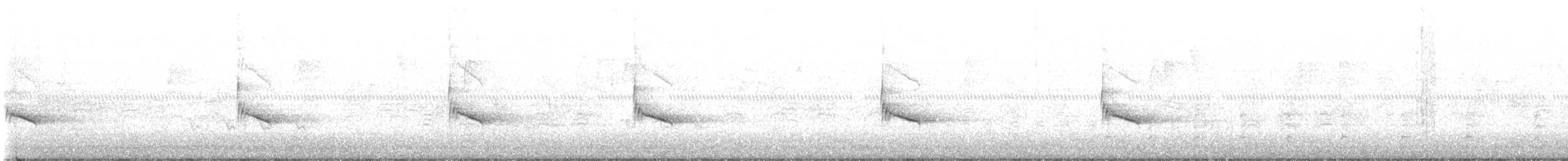 Carolina Wren - ML624298430