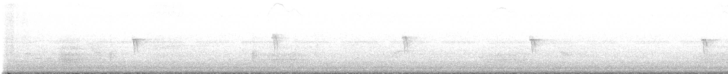 Eastern Phoebe - ML624298758