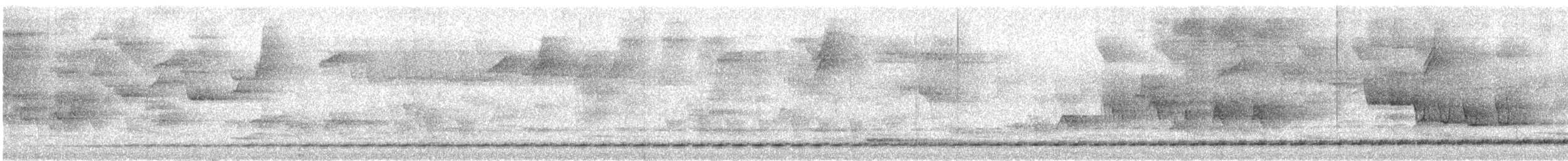 Such's Antthrush - ML624299155