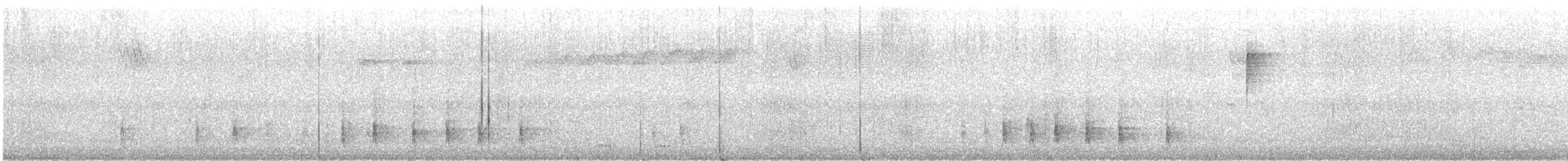 Zozo arrunta - ML624303658