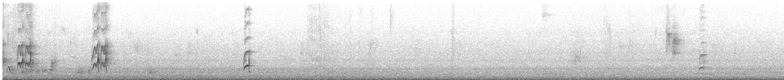 Nutting's/Salvadoran Flycatcher - ML624319589