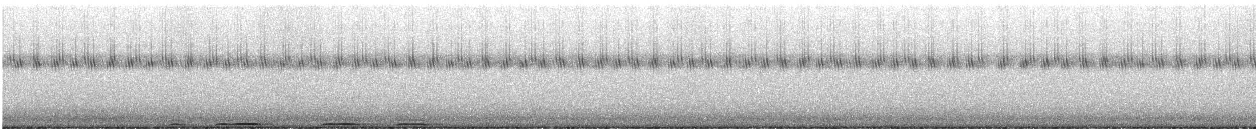 amerikahubro - ML624336500