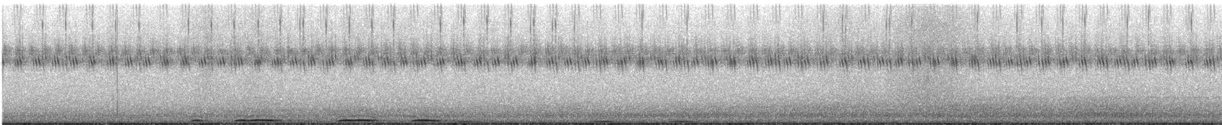 amerikahubro - ML624336678