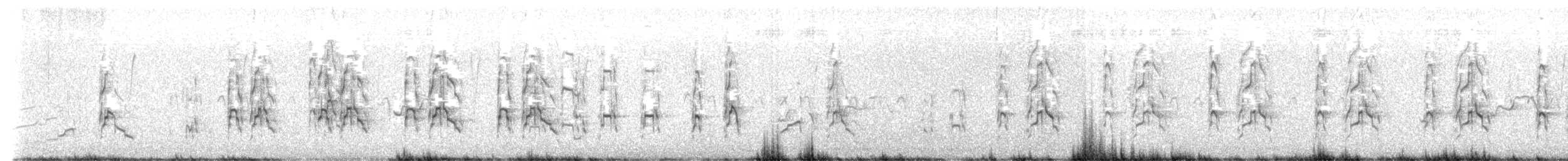 Grauflügelfrankolin - ML624337367