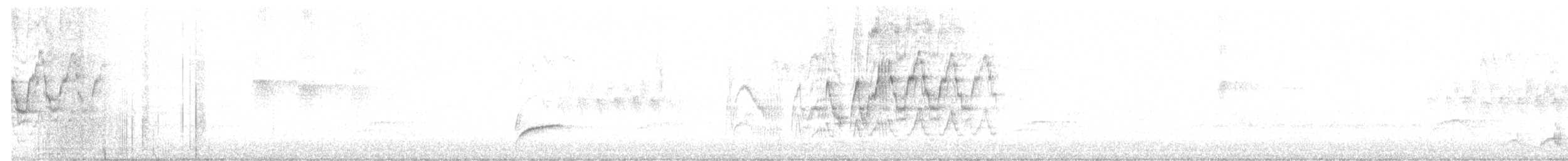 Дрізд-короткодзьоб Cвенсона - ML62435081