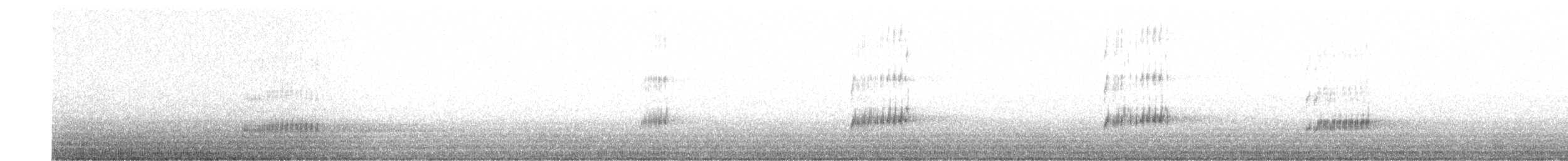 Clark's Grebe - ML624356146