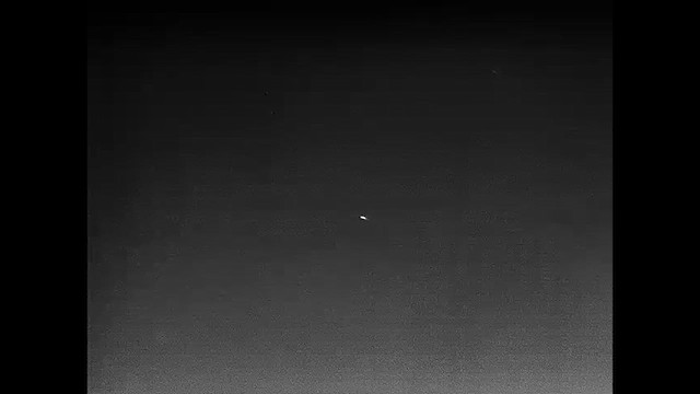 鳥類 - ML624357252