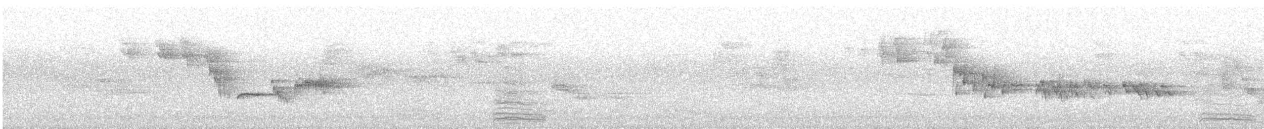Larus sp. - ML624362772