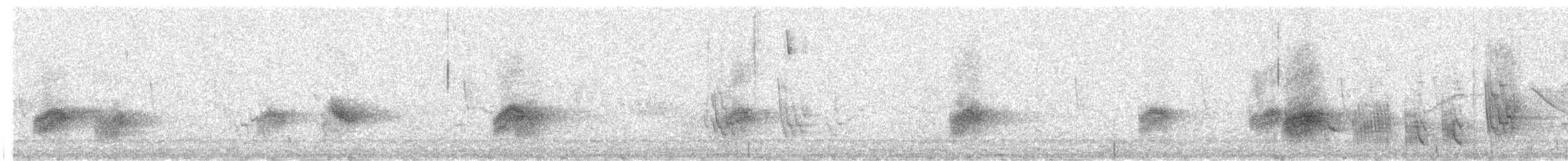 Hirondelle gracieuse - ML624362791