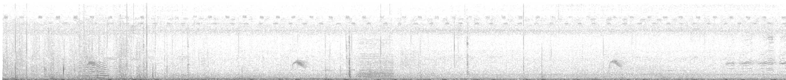 Gray-cheeked Thrush - ML624365929
