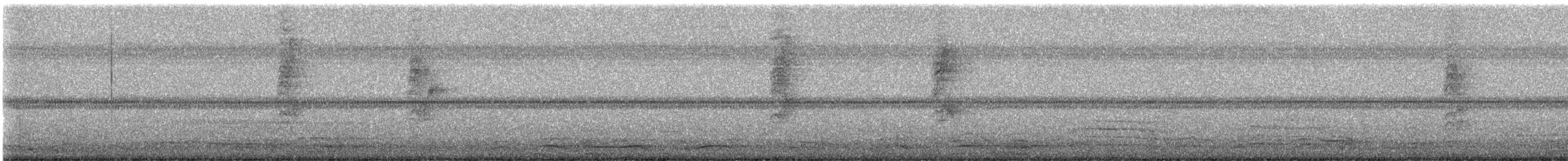 Magnolia Warbler - ML624375981