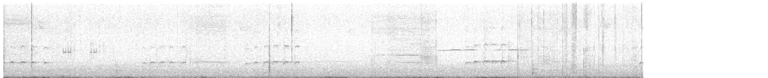 Hudsonian Whimbrel - ML624377188