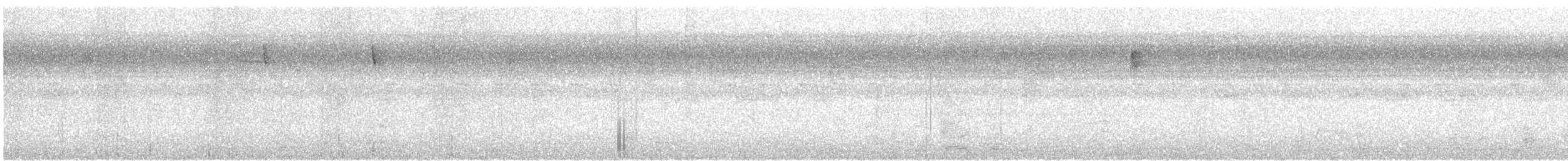 Brown Creeper - ML624378771