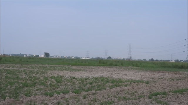 Striated Grassbird - ML624381230