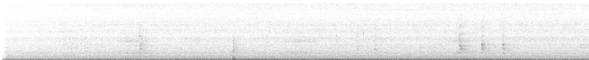 Red-bellied Woodpecker - ML624385569