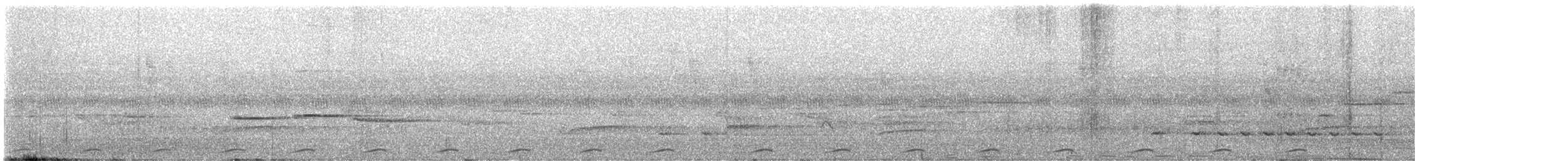 Little Cuckoo-Dove - ML624389591