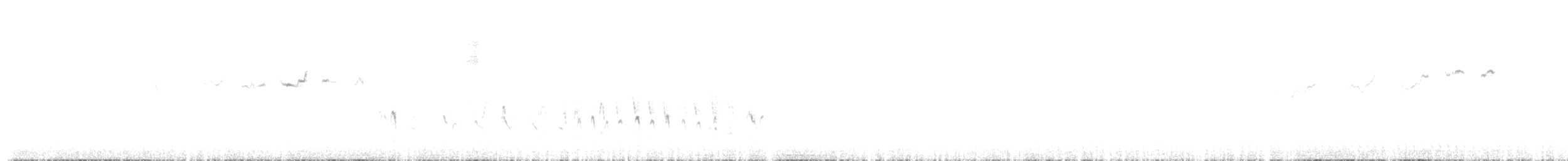 ルビーキクイタダキ - ML624390041