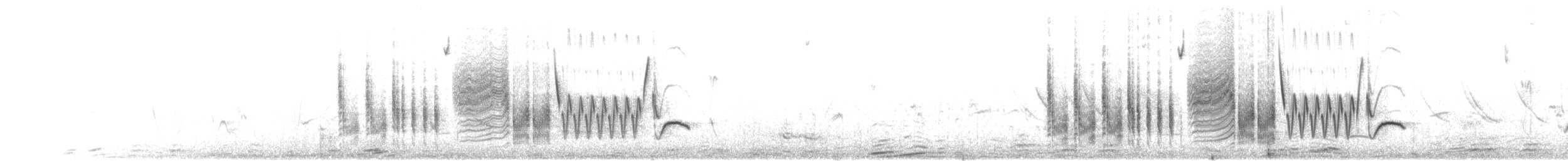 Southern House Wren - ML624391145