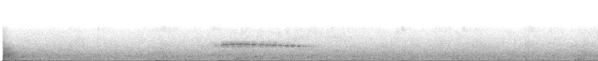 Slate-crowned Antpitta - ML624397586