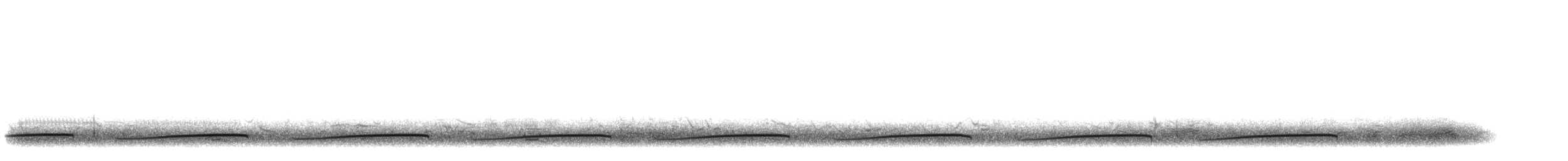 Piping Plover - ML624398056
