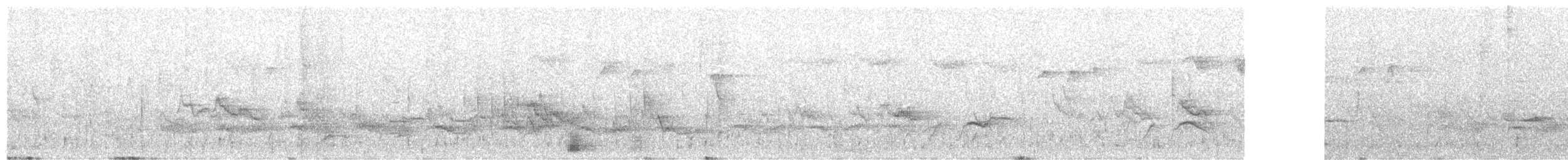 Long-billed Bernieria - ML624398323