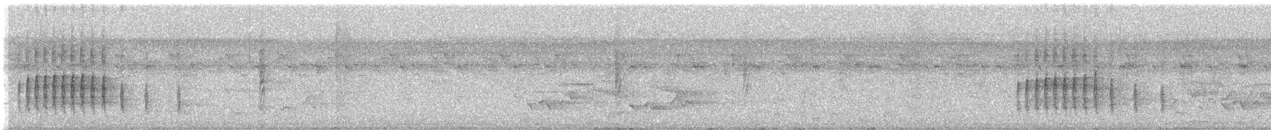 Abyssinian Thrush - ML624398921