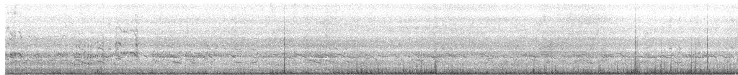 Royal Tern - ML624398977
