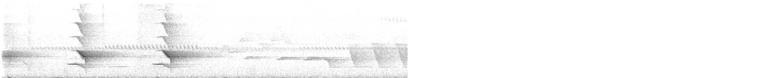 Vogelkop Lophorina - ML624403890
