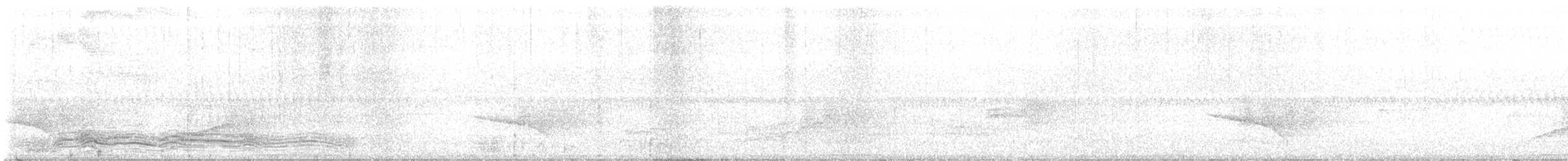 Vogelkop Lophorina - ML624403913