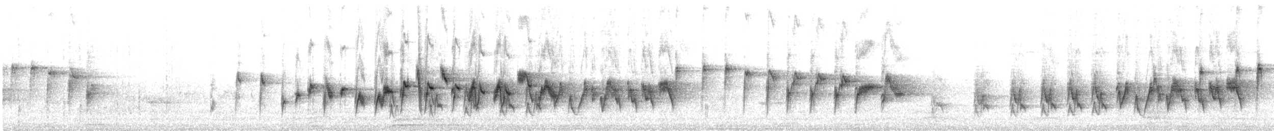 Two-banded Warbler (Two-banded) - ML624404256