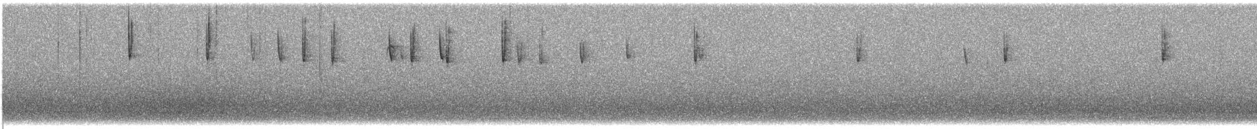 vinterjunko (mearnsi) - ML624404839