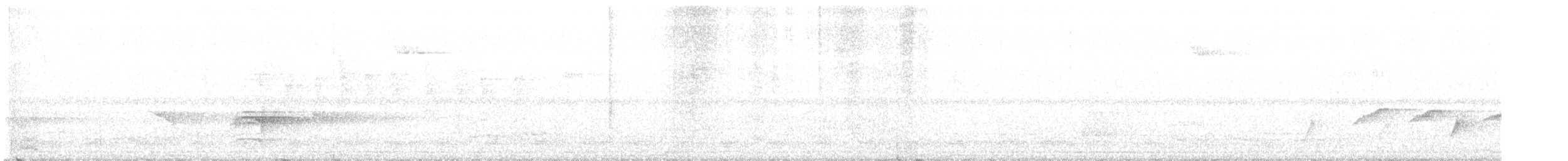 White-striped Forest Rail - ML624405081