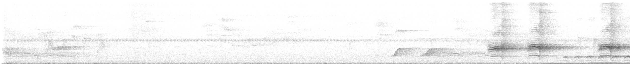 Vogelkop Lophorina - ML624405087