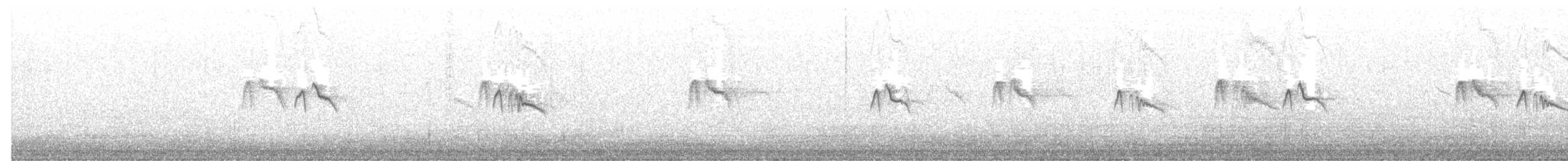 Black Phoebe - ML624425885