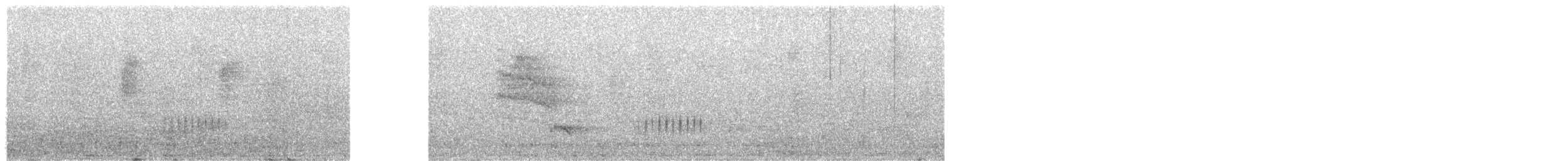 Madagascar Flufftail - ML624426619