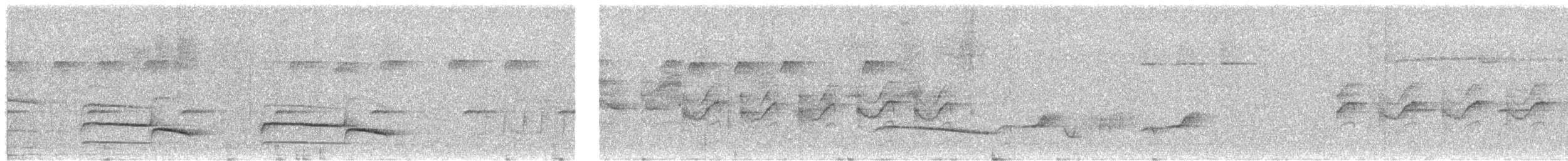 Forest Rock-Thrush (Forest) - ML624431504