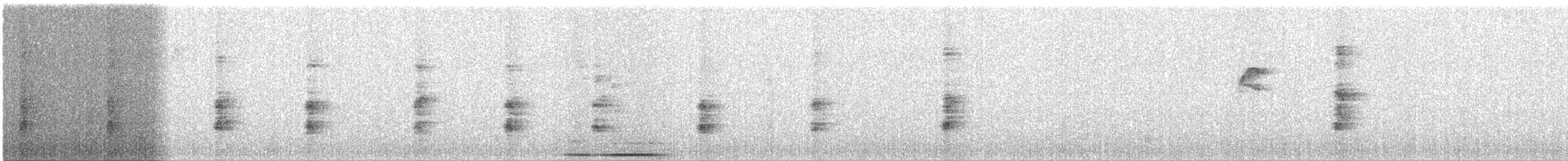 ヨコジマサボテンミソサザイ - ML624439607