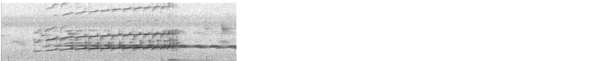 Пласкодзьоб західний - ML624445768